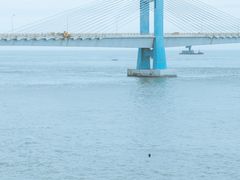 -枸杞岛