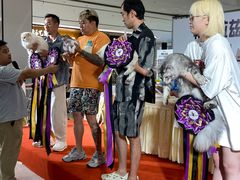 -帕帕拉兹宠物(亚洲旗舰店)