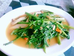 -Onion restaurant