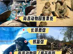 -南昌动物园