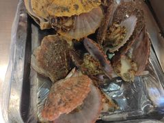 煮扇贝-腾格勒烤羊腿