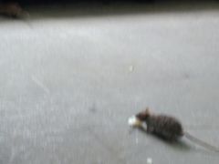 -苏州市立医院(白塔院区)