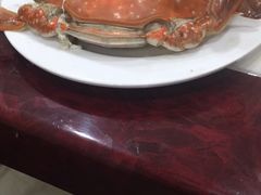 -春华海鲜城(广场西苑店)
