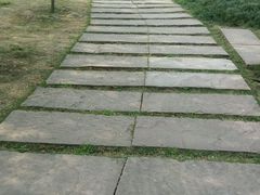 -秀丽东方