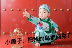 -贯日漂亮宝贝儿童摄影(红博中央公园店)