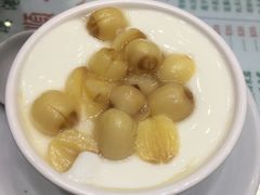 莲子双皮奶-义顺牛奶公司(新马路老店)