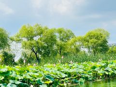 -石湖景区