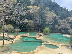 -黄龙山原始森林景区