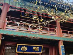 -潭柘寺景区