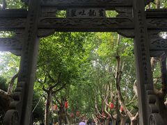 -杭州黄龙洞