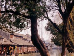 -乌镇景区