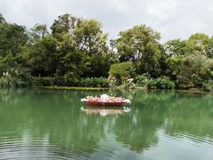 -花溪公园