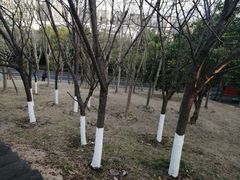 -飞凤山奥体公园