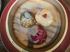 -随堂里