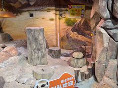 -正佳雨林生态植物园