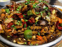 -老号尤兔头(玉堂店)