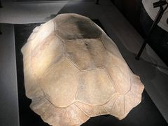 -金沙遗址博物馆