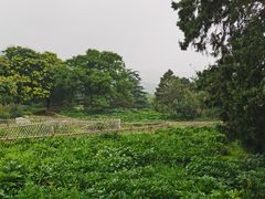 -国家植物园南园