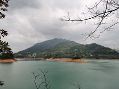 -广州市流溪河国家森林公园