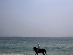 -玫瑰海岸文化旅游度假区