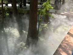 -东湖落雁景区