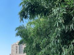 -安徽省地质博物馆