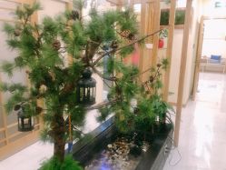 -芳朵美容养生SPA