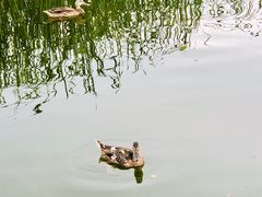 -前关湿地公园