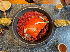 -蜀大侠火锅(总府路店)