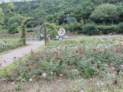 -龙寺生态园
