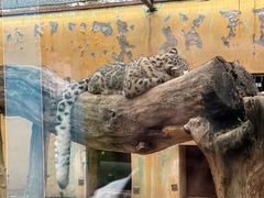 -青藏高原野生动物园