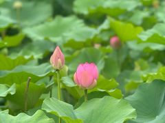 -郭守敬纪念馆