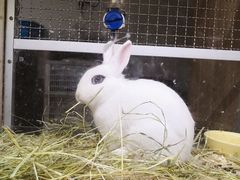 -藦茜花园宠物主题亲子互动体验馆(国顺东路店)