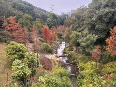 -云溪植物园
