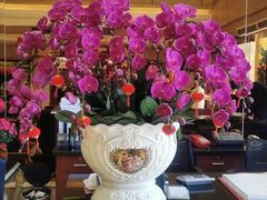 大堂-黄埔华苑酒家(黄埔店)