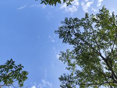 -菊园百果园