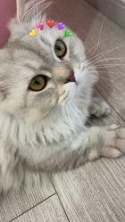 -Beauty Nails 美甲美睫皮肤管理