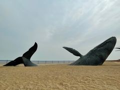 -烟台金沙滩海滨公园