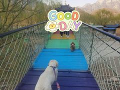 -孤山寨风景区