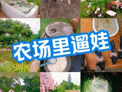 -HERRE·FARM 赫尔露营农场·团建聚会包场