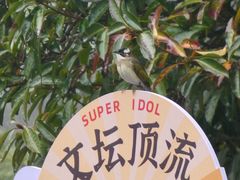 -东坡赤壁风景名胜区