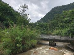 -莫里热带雨林景区