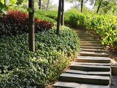 -云溪植物园