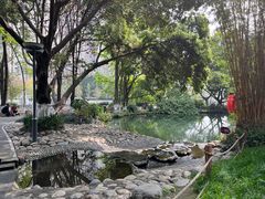 -成都市活水公园