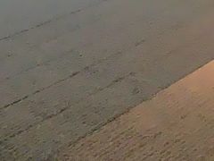 -梧桐餐厅(泉城路店)