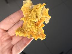 -大湾区中央湿地公园