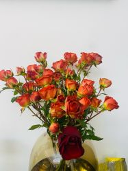 -薇光映画摄影美学馆