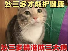-千城康桥宠物医院·猫科·骨科·心脏