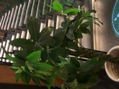 -新紫霞养生·影院足道·SPA(金山区店)