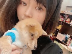 -逗柴咖啡屋·狗咖猫咖宠物桌游